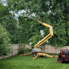 Best Lot and Land Clearing  in Evanston, WY